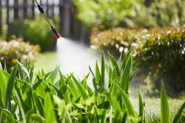 24/7 Emergency Wasp Removal experts in Deerfield, WI