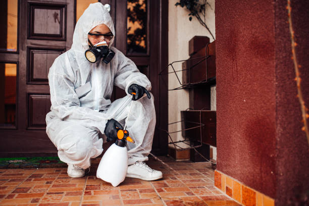 Reliable Wasp Removal contractor in Deerfield, WI by Show Me Pest Control